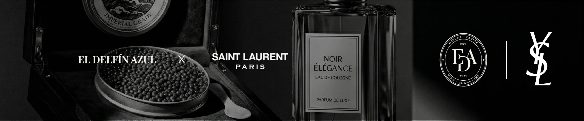 Colaboración El Delfín Azul