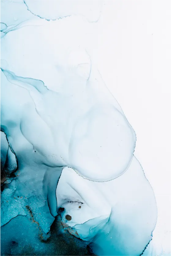 El universo de El Delfín Azul